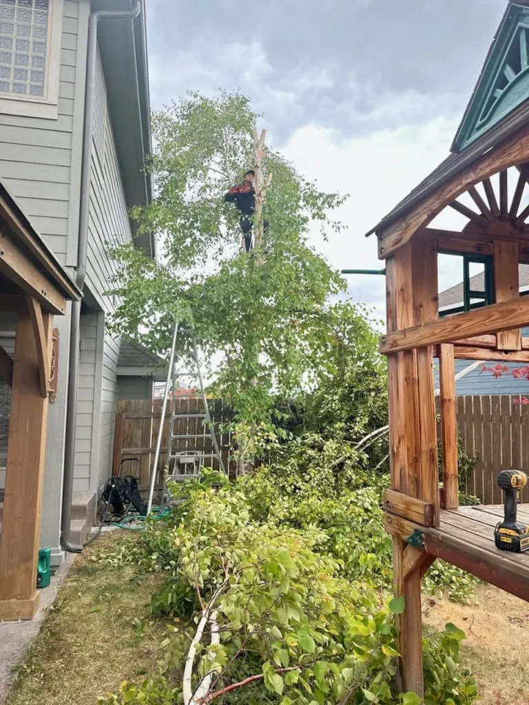 Green Valley Gallery 008 1920w 960x1280 1920w