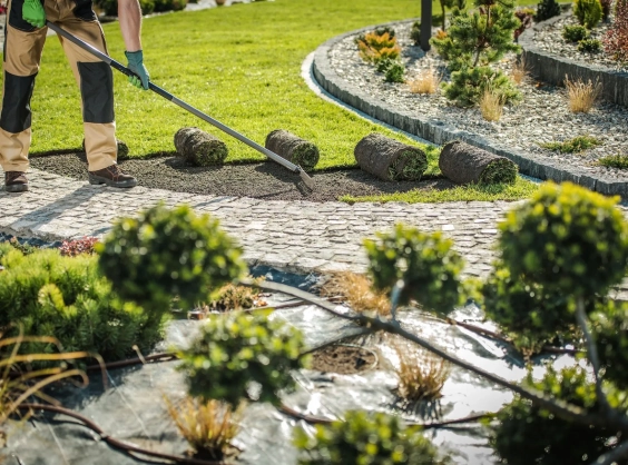 replacing natural grass turfs