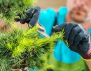 taking care of garden plants 2023 11 27 05 07 26 utc 1.jpg